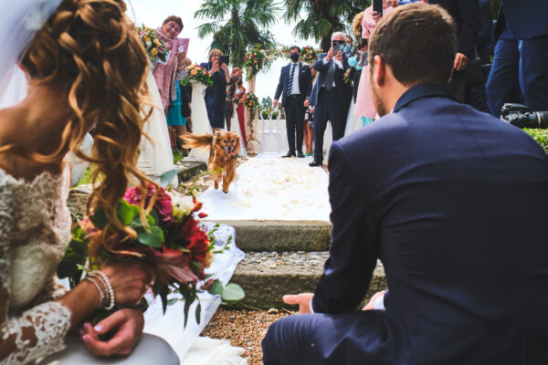 Fotografo De Amici Andrea Fotografo De Amici Andrea